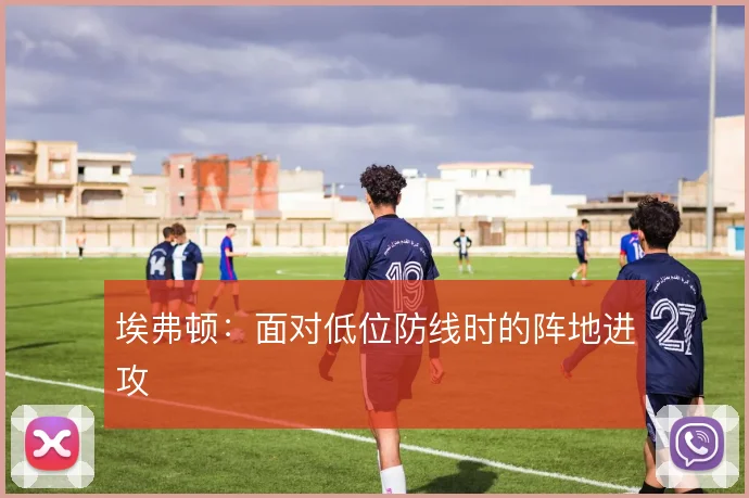 埃弗顿:面对低位防线时的阵地进攻
