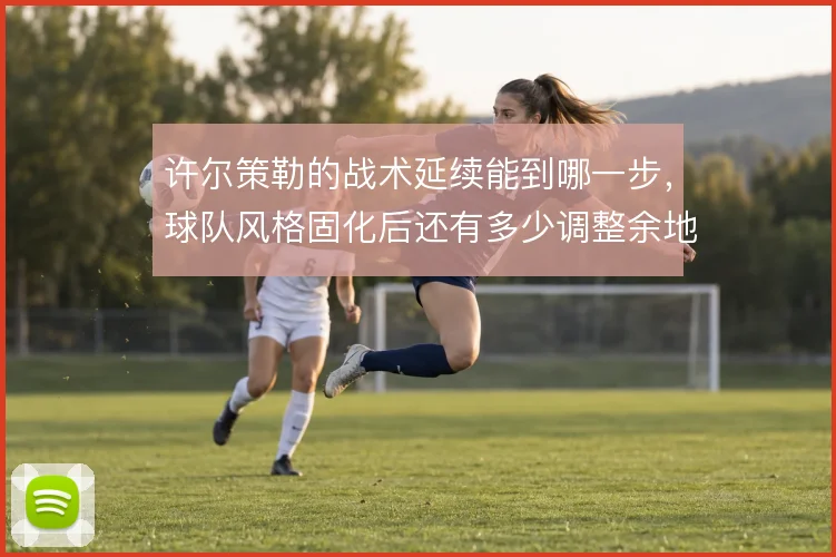 许尔策勒的战术延续能到哪一步，球队风格固化后还有多少调整余地