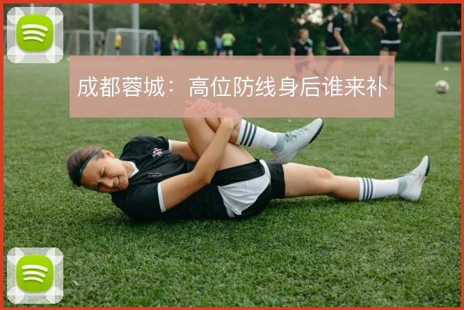 成都蓉城:高位防线身后谁来补